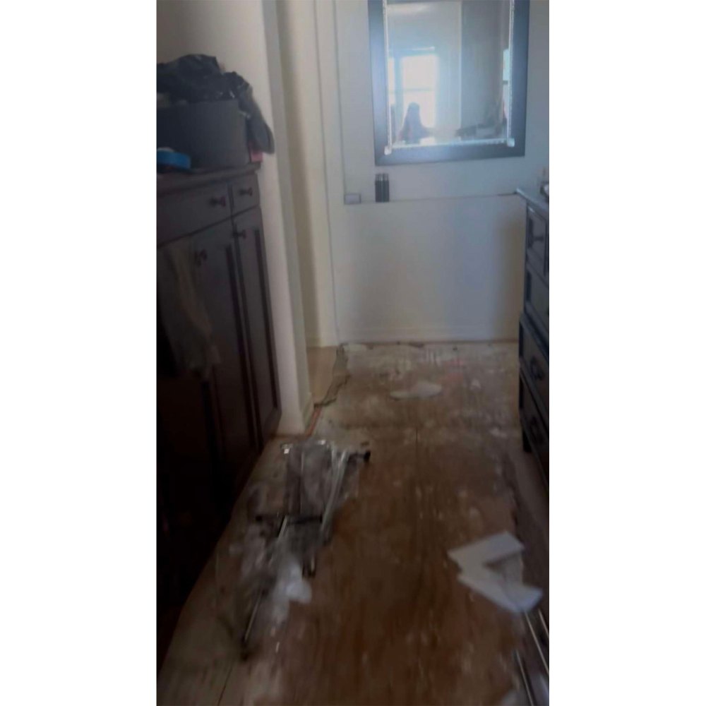 See The Photos Denise Richards Submitted as Evidence in Divorce Battle With Ex Aaron Phypers