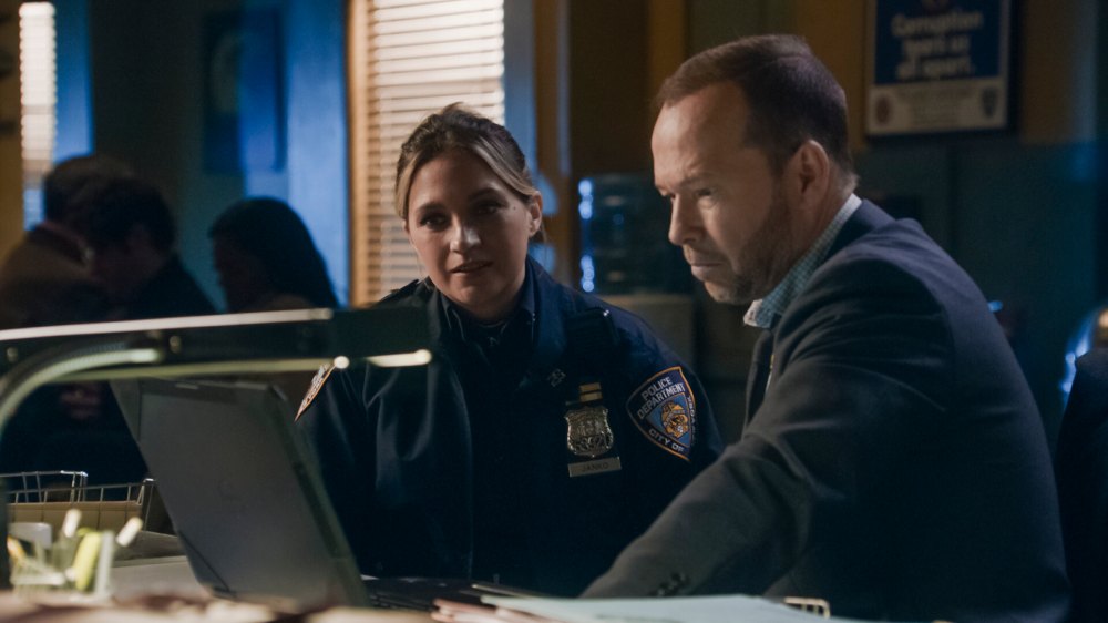 Blue Bloods' Vanessa Ray Teases More Spinoffs, Hints at Boston Blue ...