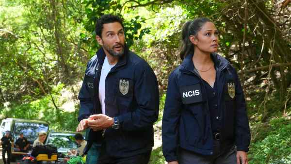 NCIS Hawai’i' Alum Joins 'Watson' 1 Year After Shocking Cancellation