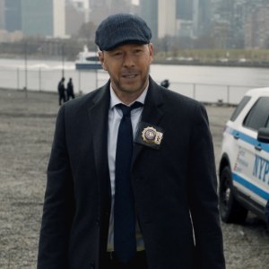 Blue Bloods Danny Reagan and Maria Baez Relationship Timeline