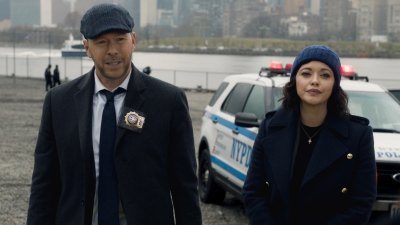 Blue Bloods Danny Reagan and Maria Baez Relationship Timeline