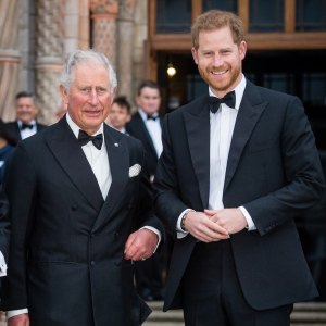 GettyImages-1140417425 inside prince harry and king charles reunion