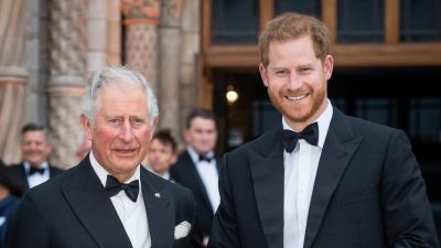 GettyImages-1140417425 inside prince harry and king charles reunion
