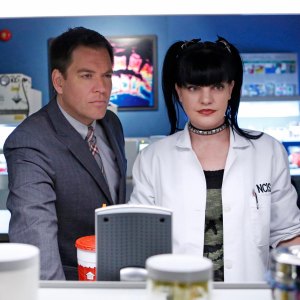 Why NCIS' Michael Weatherly Didn't Know About Sister's Death for 3 Days