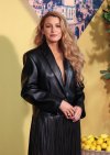 Blake Lively vs Justin Baldoni s It Ends With Us Lawsuit Case Updates