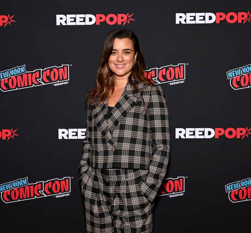 Exclusive Cote de Pablo s Dream Scenario for NCIS Tony and Ziva Season 2 Doesn t Focus on Romance