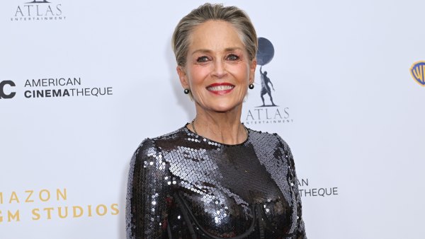 BEVERLY HILLS, CALIFORNIA - DECEMBER 06: Sharon Stone attends 38th American Cinematheque Awards at The Beverly Hilton on December 06, 2024 in Beverly Hills, California. (Photo by Olivia Wong/WireImage)