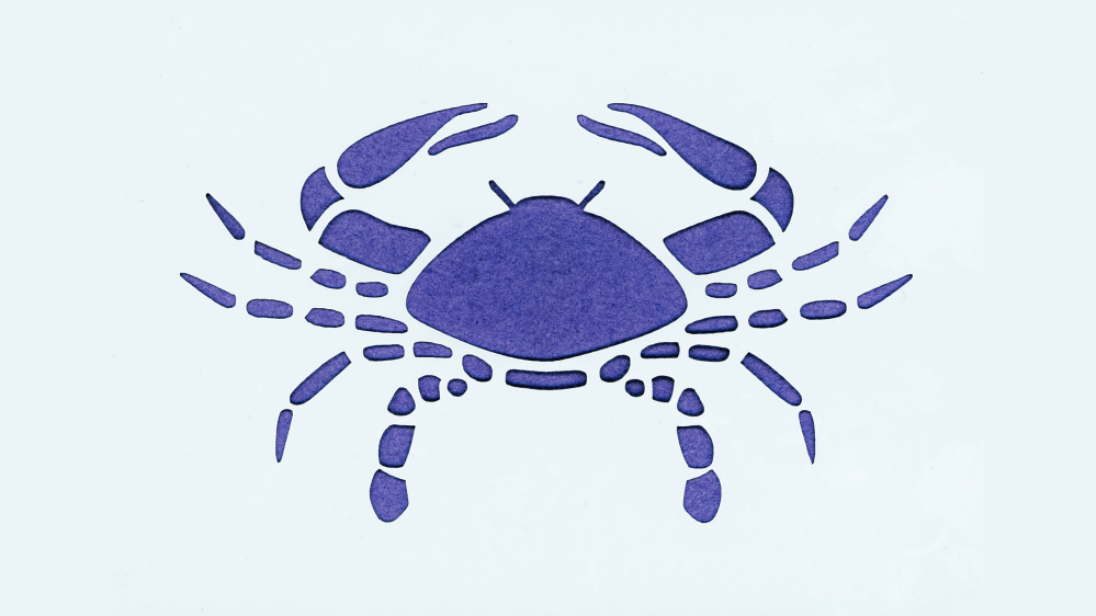 C&aacute;ncer