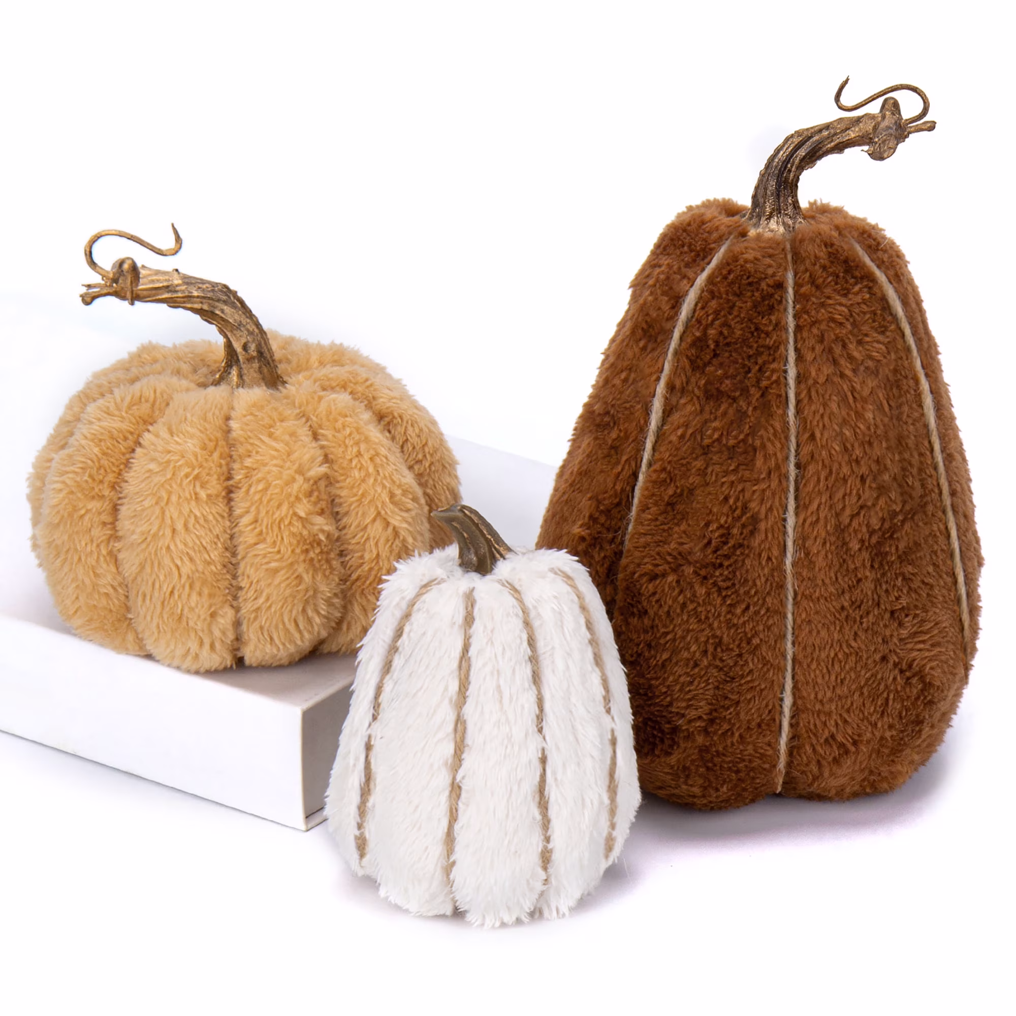 Sherpa pumpkins