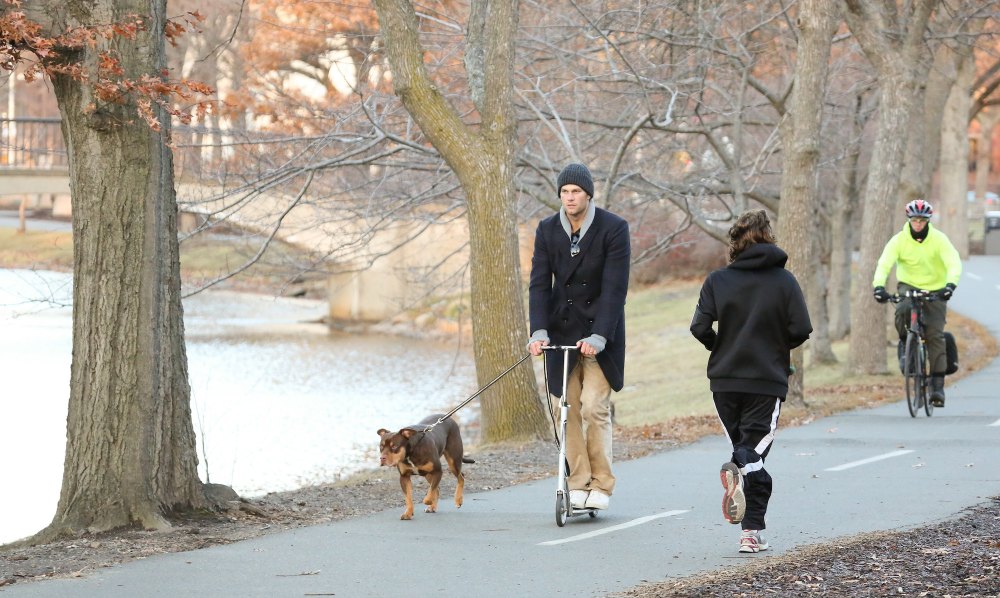 GettyImages-454218167 Tom Brady Dog 2013