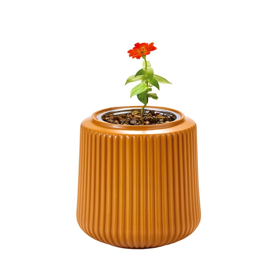 Print Rollout Gift Guide