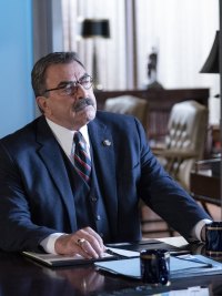 BLUE BLOODS