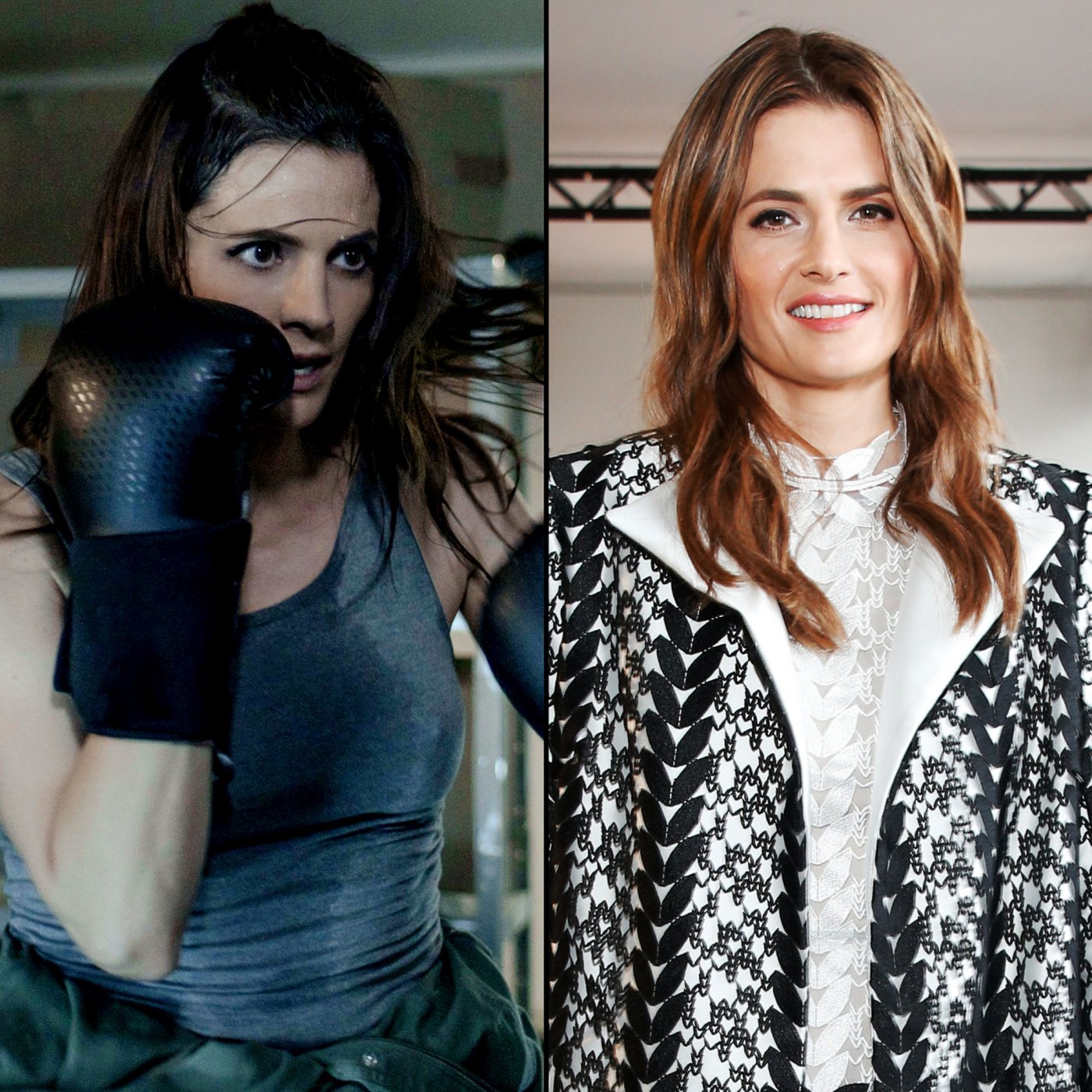 Where Are the Cast of Absentia Now? Stana Katic Starred in Cancelled ...