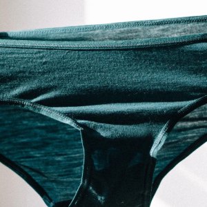 christmas-merino-wool-undies-bikini-pack-woolly