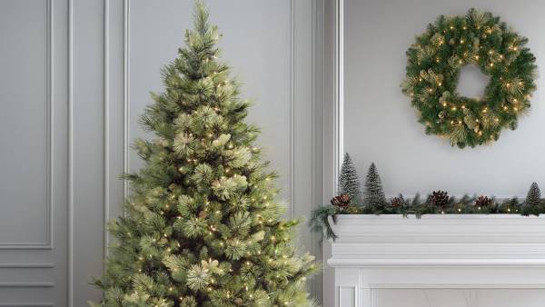 National Tree Company