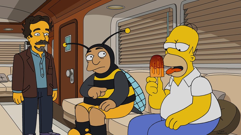 The Simpsons tg