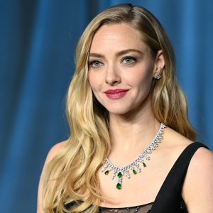Amanda Seyfriend Handbag