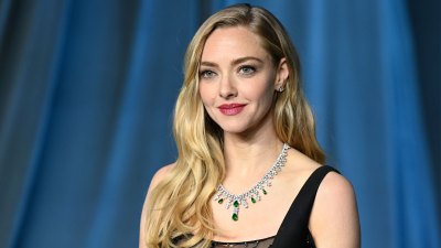 Amanda Seyfriend Handbag