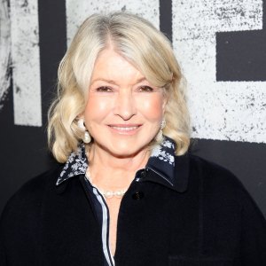 Martha Stewart Cardigan Lookalike