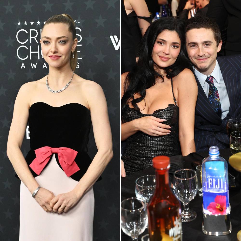 Amanda Seyfried Had Questions About Timothee Chalamets Shout-Out to Kylie Jenner