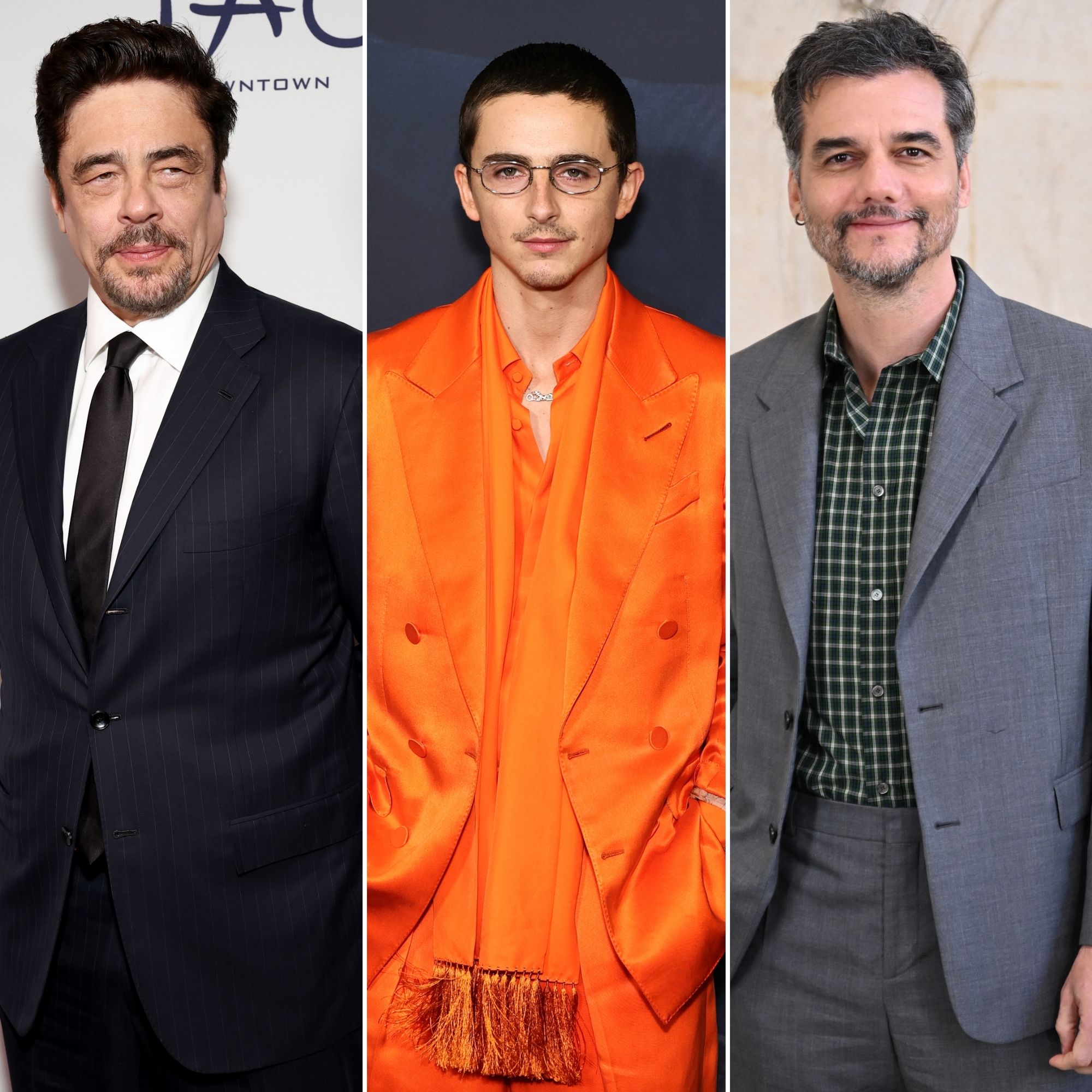 Benicio del Toro, Timotheé Chalamet y Wagner Moura