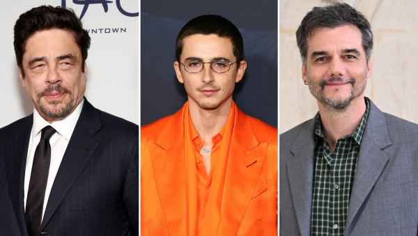 Benicio del Toro, Timotheé Chalamet y Wagner Moura