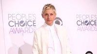 Feature Ellen DeGeneres Fighting Woman in Court Over Alleged 2023 Car Crash