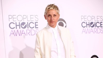Feature Ellen DeGeneres Fighting Woman in Court Over Alleged 2023 Car Crash