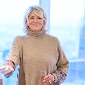 martha stewart lace slip