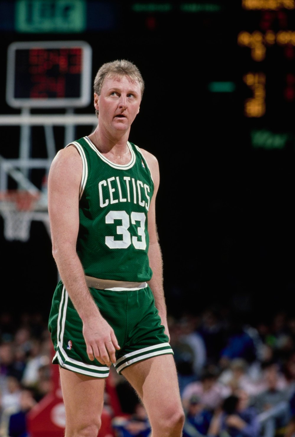 Nikki Glaser Fixed Her Face After Larry Bird Joke