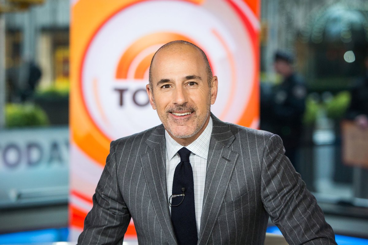 Matt Lauer Accuser Excerpt