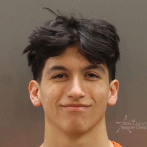 Owen Alexander Sawyer Mugshot Credit Ada County Sheriffs Office
