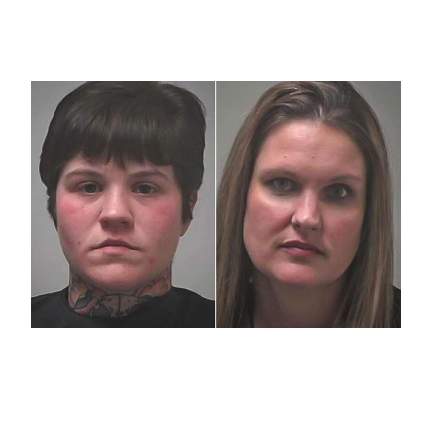 2 Women Arrested in Georgia for Abuse After Illegally Operating on Cats ...