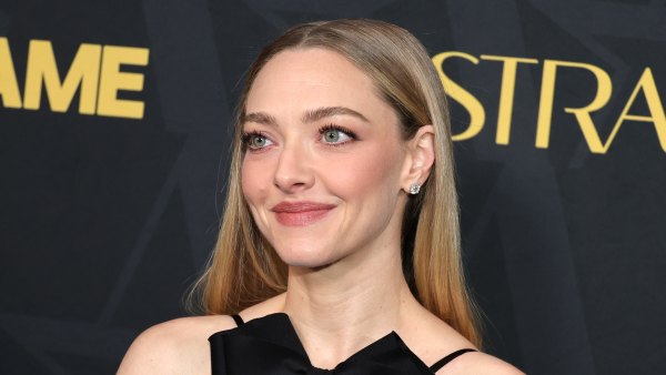 LOS ANGELES, CALIFORNIA - JANUARY 09: Amanda Seyfried attends the 2026 Astra Film Awards Presented by The Hollywood Creative Alliance at Sofitel Los Angeles at Beverly Hills on January 09, 2026 in Los Angeles, California. (Photo by Brianna Bryson/WireImage)
