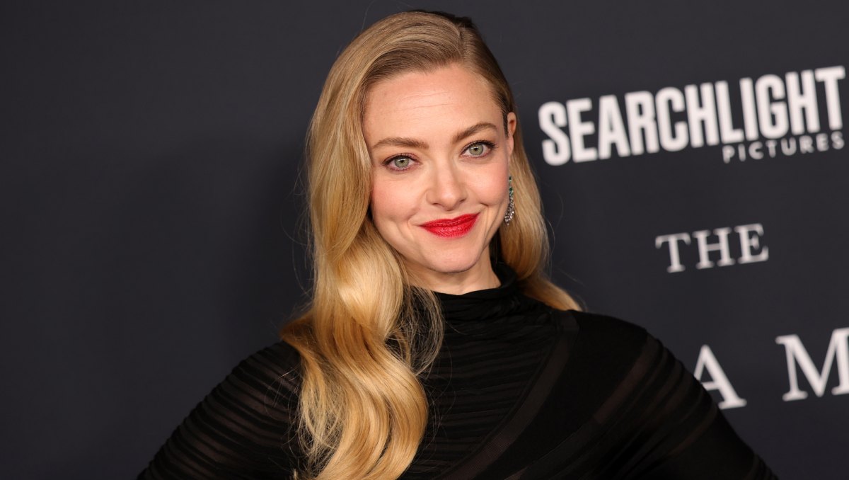Amanda Seyfried Pleated Skirt