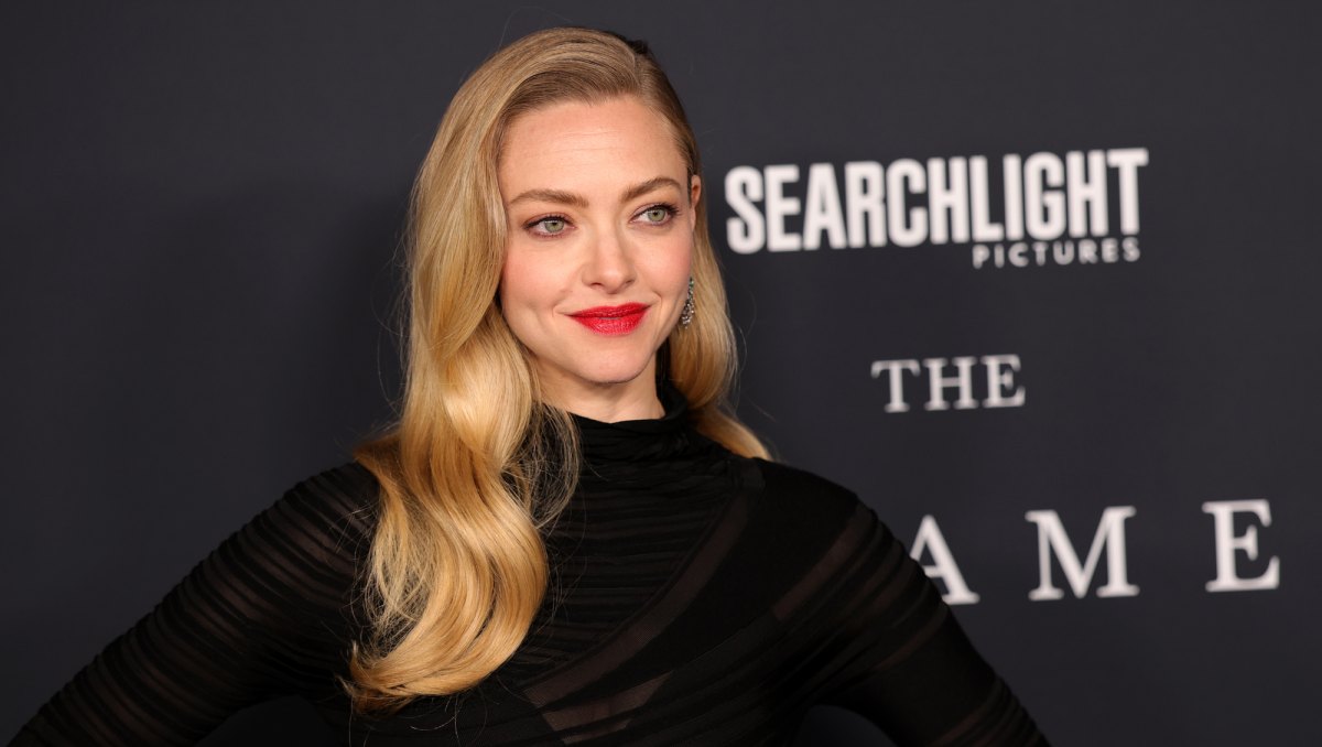 Amanda Seyfried V-Neck Sweater