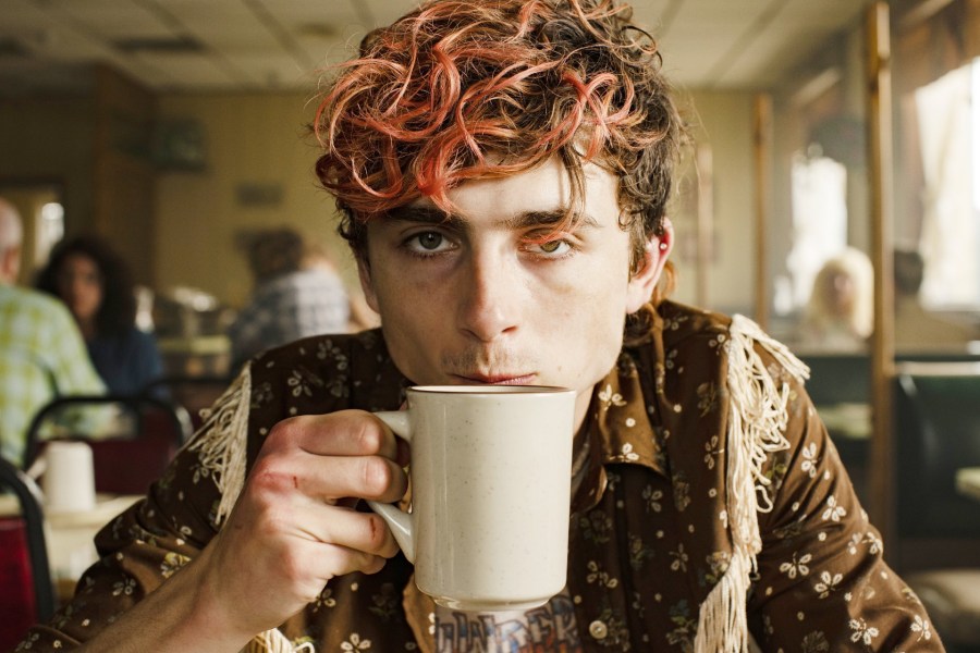 Timothee Chalamet in Bones and All