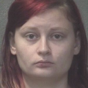 North Carolina Mom Charged After Missing Toddler Drowns on Front Porch of Home