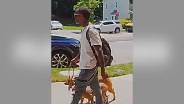 police identify suspect dead dogs