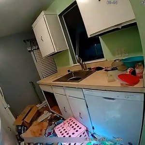 Children Found Eating Raw Spoiled Meat After Mom Abandoned Them Days Earlier