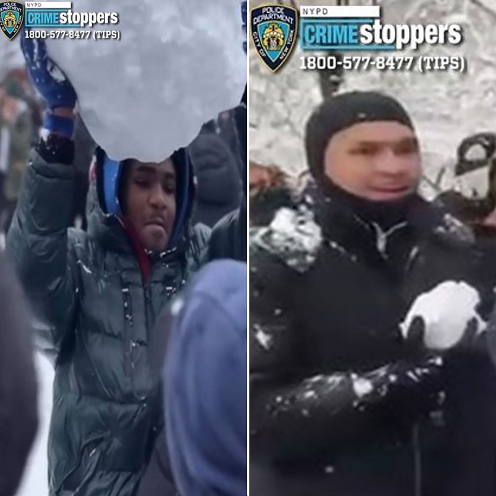 2 NYPD Officers Injured During Massive Snowball Fight in Manhattan Park ...