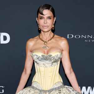 Lisa Rinna RHOBH Costars Book Revs