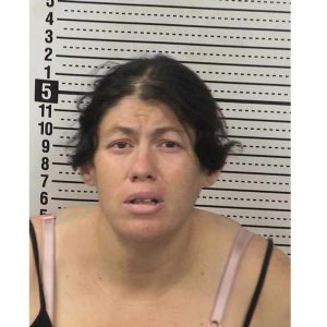 NM Infant Drowns After Mother Dropped Her Into Porta Potty and Left