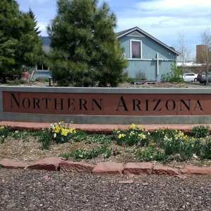 Northern Arizona University