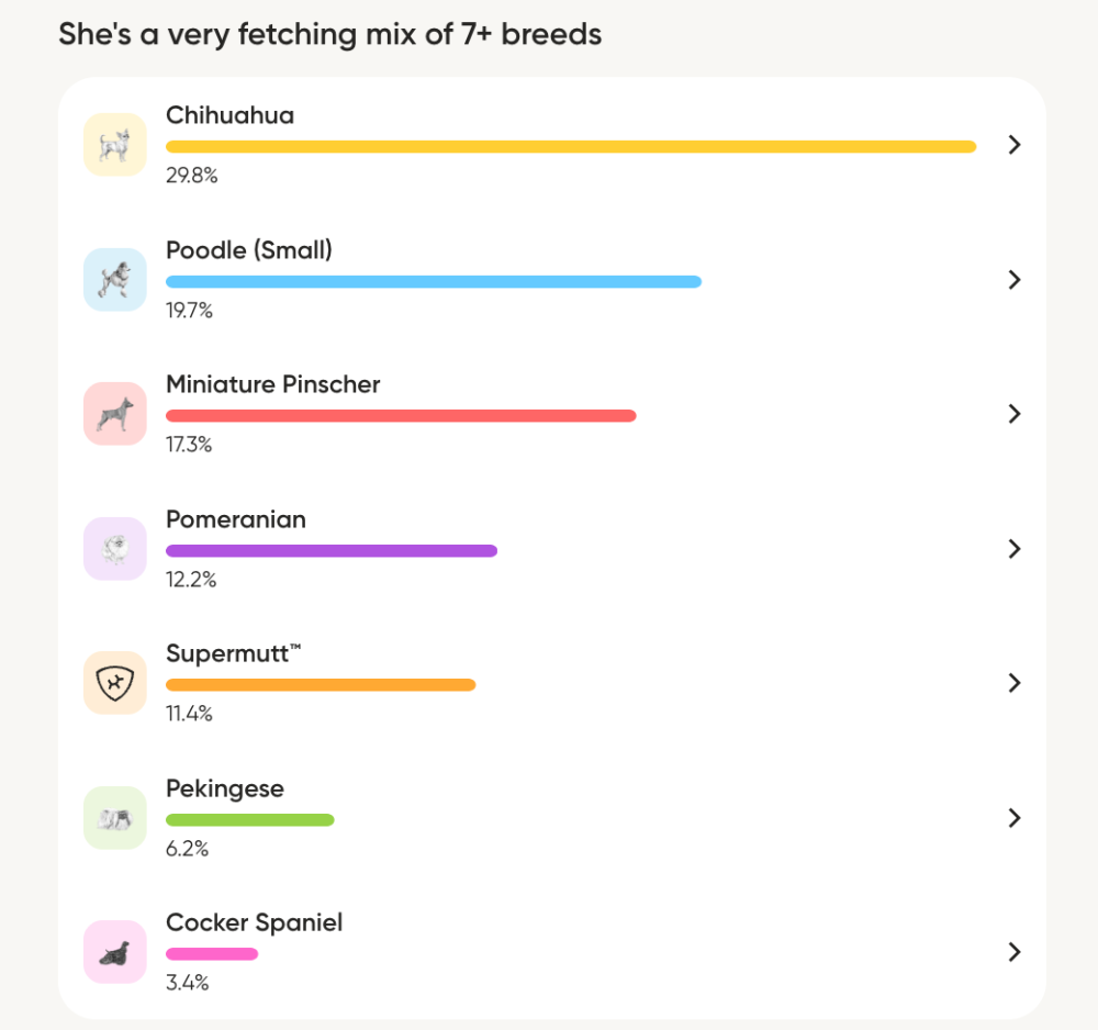Embark DNA Test
