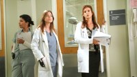Grey's Anatomy Fans Question Continuity Error With Kate Walsh's Addison
