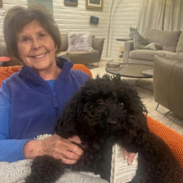 TMZ Founder Details 'Chilling' New Alleged Nancy Guthrie Ransom Note - Us