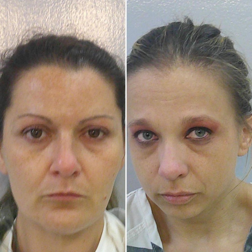 Women Disguised Drone as Bird, Flew Contraband Into Prison