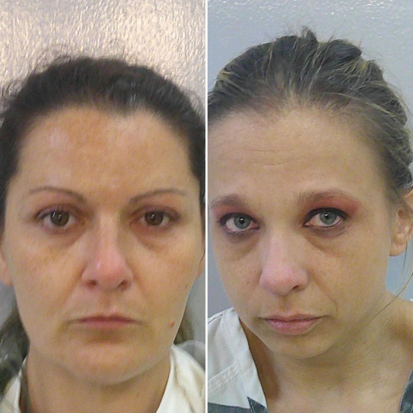 Women Disguised Drone as Bird, Flew Contraband Into Prison