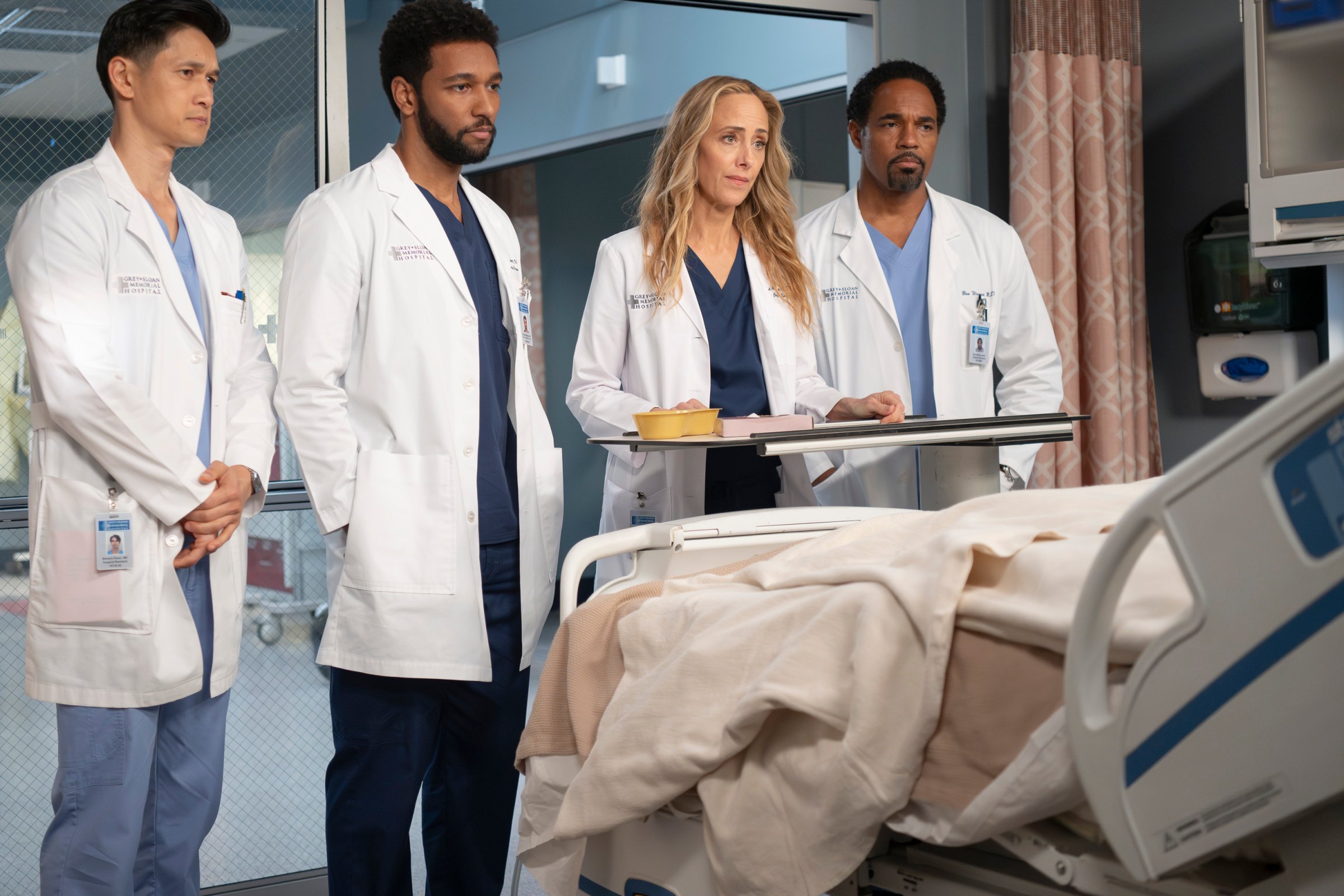 Greys Anatomy Season 22 — and what comes next — image 3